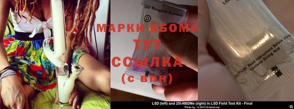 эйфоретик Алзамай