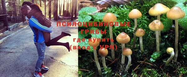 эйфоретик Алзамай