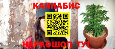 mdpv Славгород