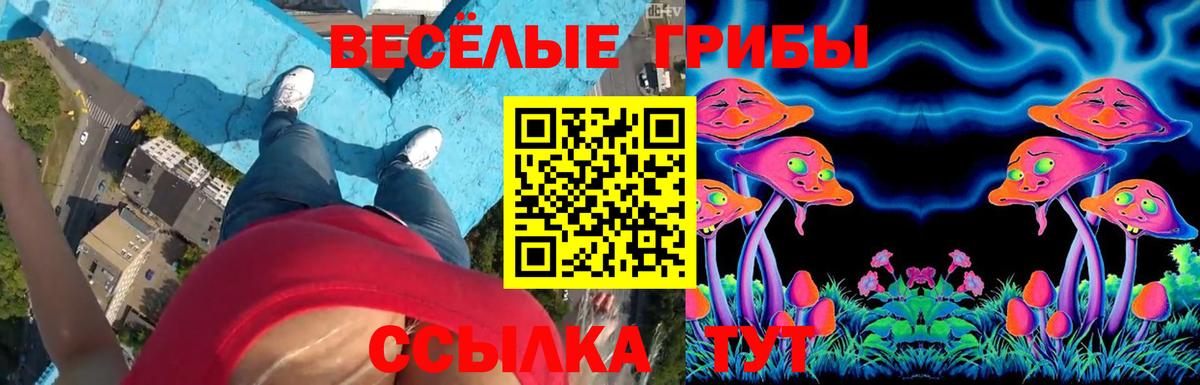 Псилоцибиновые грибы Cubensis Усть-Илимск
